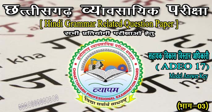 General Hindi Grammar Question Quiz in Hindi Gk Paper | CG VYAPAM ADEO Papers