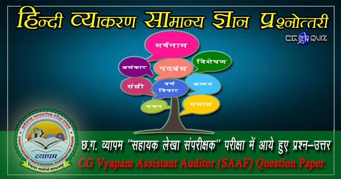 Hindi Grammar Question MCQs- CG VYAPAM Assistant Auditor Question Paper